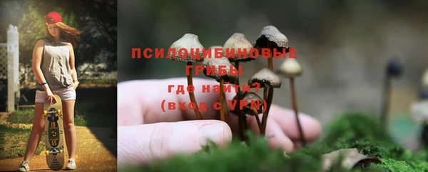 трава Арсеньев
