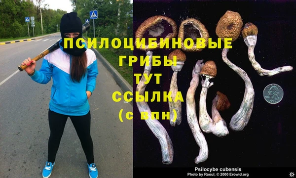 jwh Аркадак